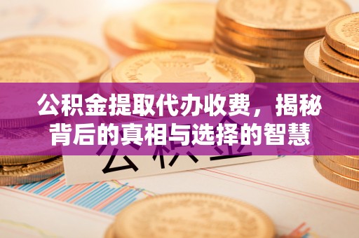 武义县公积金提取代办收费，揭秘背后的真相与选择的智慧
