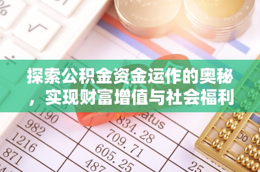 武义县探索公积金资金运作的奥秘，实现财富增值与社会福利双赢