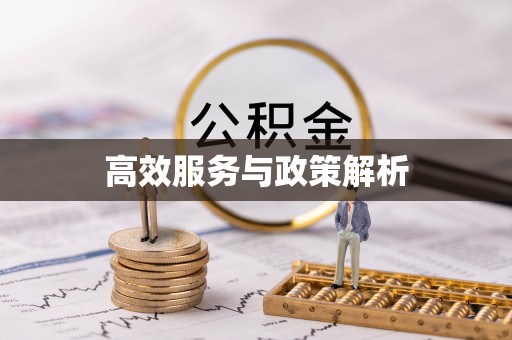 武义县高效服务与政策解析