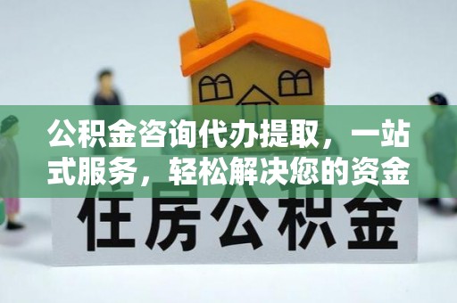 武义县公积金咨询代办提取，一站式服务，轻松解决您的资金需求