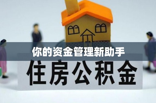 武义县你的资金管理新助手