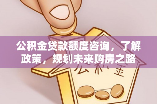 武义县公积金贷款额度咨询，了解政策，规划未来购房之路
