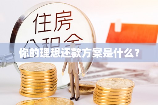 武义县你的理想还款方案是什么？