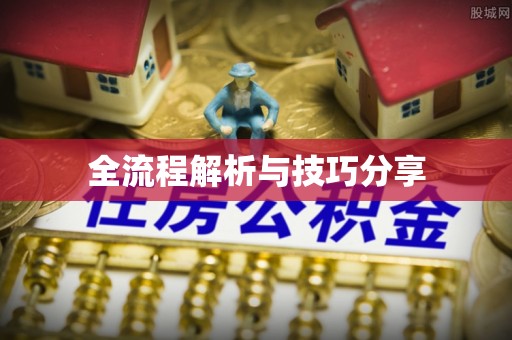 武义县全流程解析与技巧分享